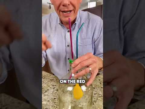 Innovative Life Science Projects for Community Engagement