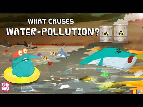 Four Types of Pollution and Their Scientific Implications