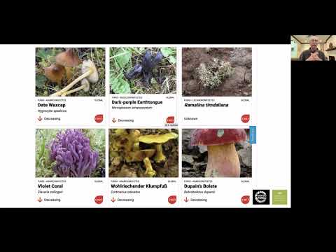 HiFi Mycology: Advancing Fungi Research and Community Engagement