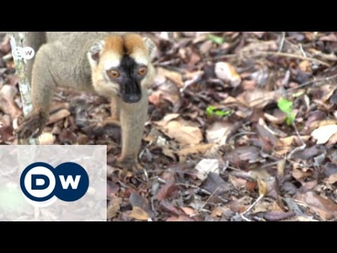 Assessing the Red List of Threatened Species for Conservation