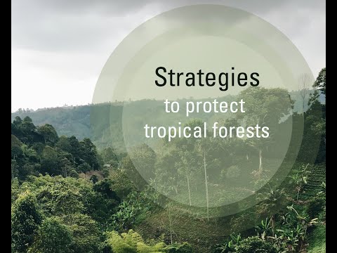 Innovative Strategies for Tackling Global Warming Challenges