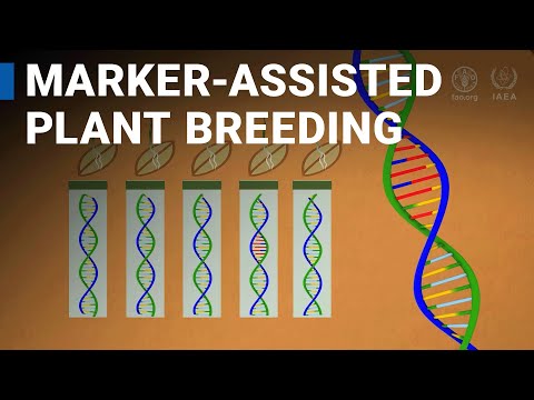 Advancements in QTL Genetics for Crop Improvement