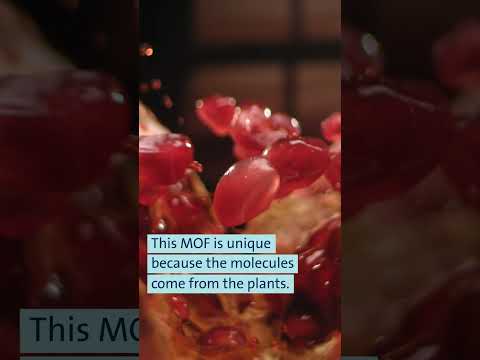 The Science Behind Metal Molecules and Their Applications