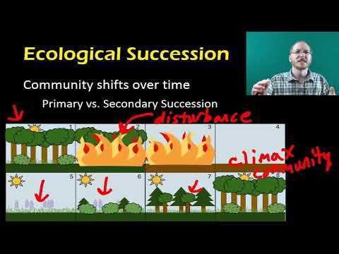 Integrating Individual and Community in Ecosystem Science