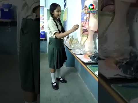 Innovative Human Torso Anatomy Model for Science Education