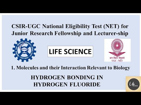 Hydrogen Bonding in Hydrogen Fluoride: A Scientific Perspective