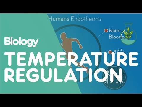 Pathophysiology of Hypothermia and Its Effects on the Body