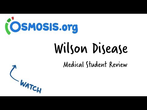 Pathophysiology of Wilson Disease: Mechanisms and Implications