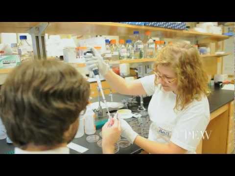 Innovative Advances in Biomedical Science and Outreach