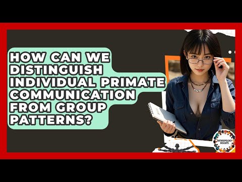 Insights into Primate Social Interactions and Behavior
