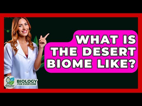 Desert Biodiversity: Unseen Connections in Harsh Ecosystems