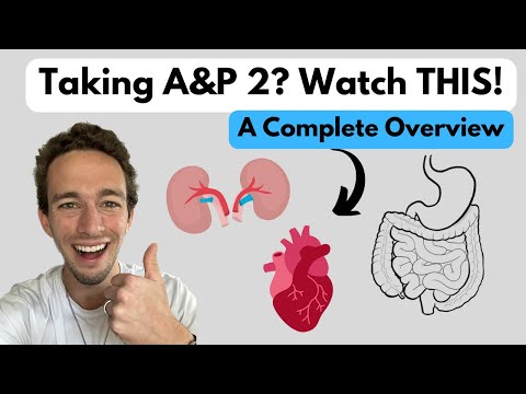 Anatomy and Physiology Review for Science Enthusiasts