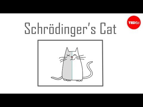 Schrodinger's Quantum World and Its Intriguing Paradoxes