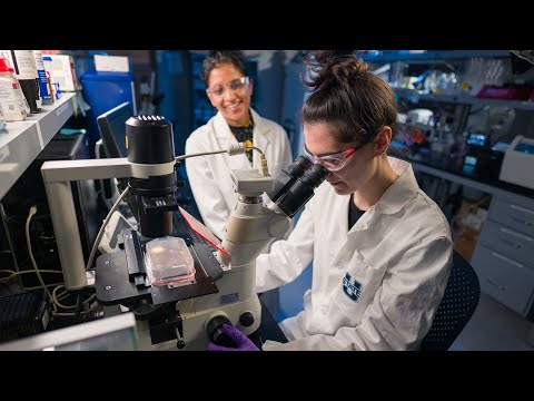 Biochemistry Undergraduates Shaping Scientific Outreach