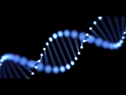 The Role of the Ace Gene in Genetic Research and Medicine