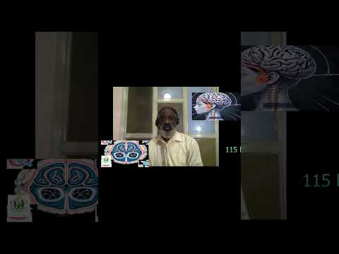 The Science Behind Serotonin's Role in Mood and Behavior