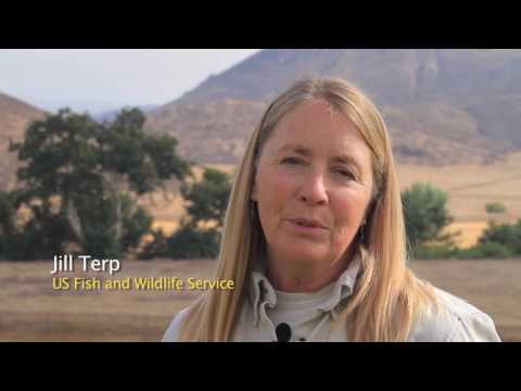 Innovative Approaches in Conservation Science and Outreach