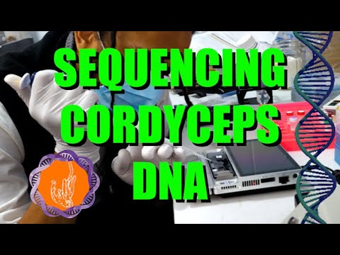 DNA Sequencing at Home: A New Era for Citizen Scientists