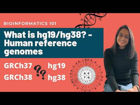 Advancements in Genomic Research with hg38 Reference Genome