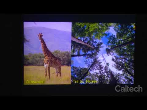 Imaging Spectroscopy and Its Role in Scientific Discovery