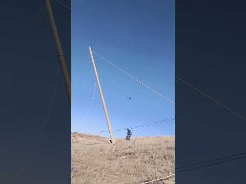 Innovations in Architecture Through Scientific Engineering