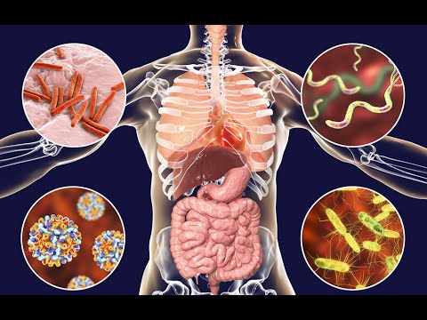 Microbial Diseases: Insights into Their Impact and Prevention