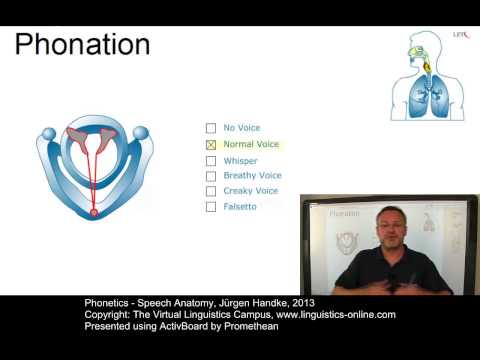 Science of Speech Language and Hearing Anatomy and Physiology