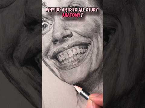 Anatomy Atlas for Artists to Enhance Scientific Accuracy