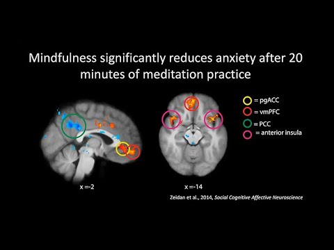 Science Behind Mindfulness Psychology and Its Benefits