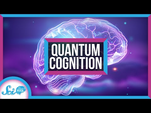 Quantum Neuroscience Bridging Physics and Brain Research