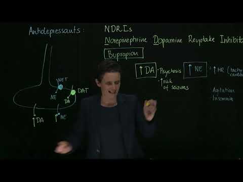 Pharmacological Mechanisms of Wellbutrin in Mental Health