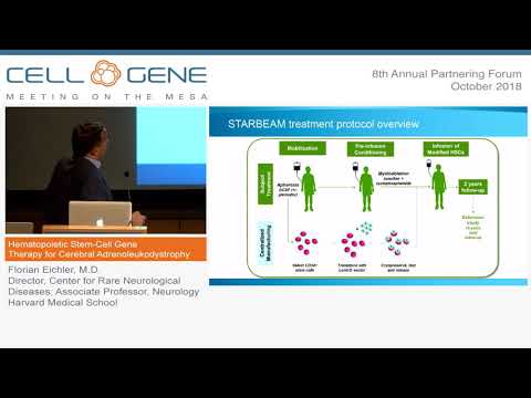 Innovations in Ex Vivo Gene Therapy for Disease Treatment