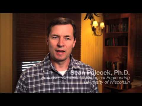 Innovations in Cellular Engineering and Its Scientific Potential