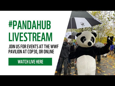 Climate Change Science and Its Role in Public Awareness