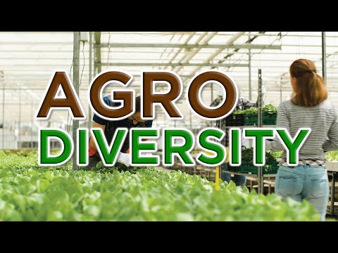 Agrodiversity and Its Role in Sustainable Food Systems