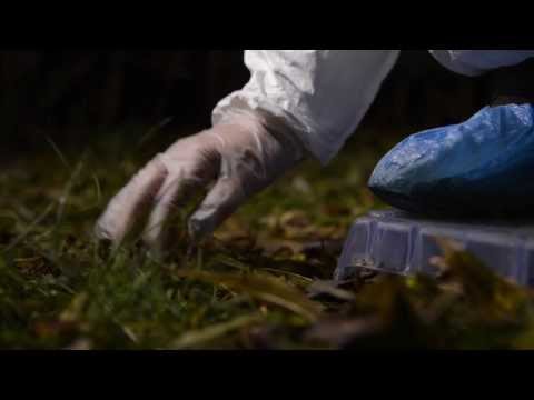 Forensic Science Fundamentals and Their Role in Investigations