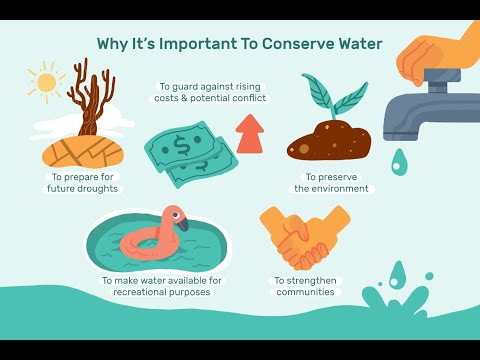Innovative Water Conservation Techniques for Your Home
