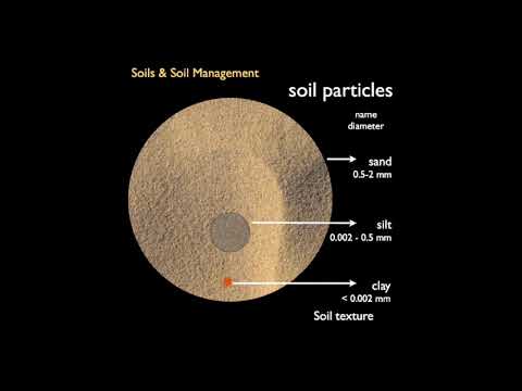 Soil Physics: The Science Behind Earth's Foundation