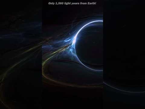 Gaia Black Hole Observations and Their Cosmic Implications