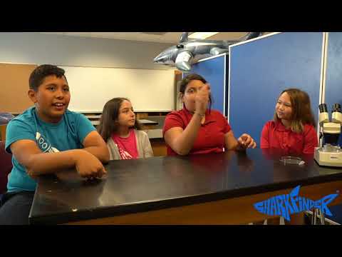 Igniting Curiosity Through Spark Data Science Initiatives