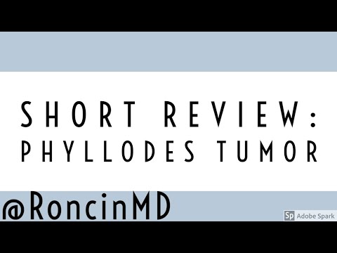 Phyllodes Tumors: A Review of Pathological Features