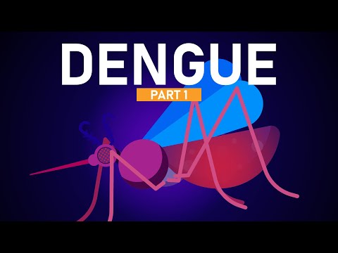 Dengue Epidemiology and Its Implications for Public Health