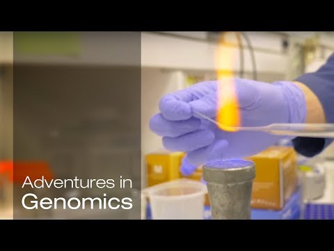 Advancements in Single Cell Genome Sequencing Technology