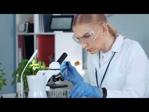 Harnessing Physics for a Sustainable Environment