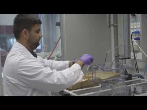 Innovations in In Vitro Toxicology for Safer Products