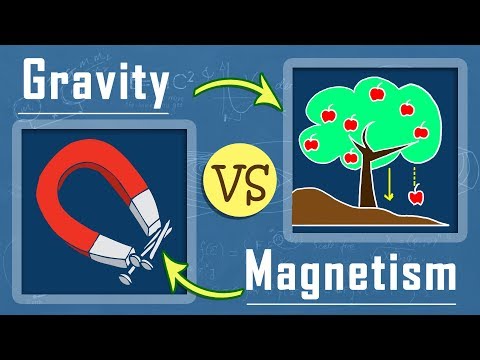 The Intriguing Relationship Between Gravity and Magnetism