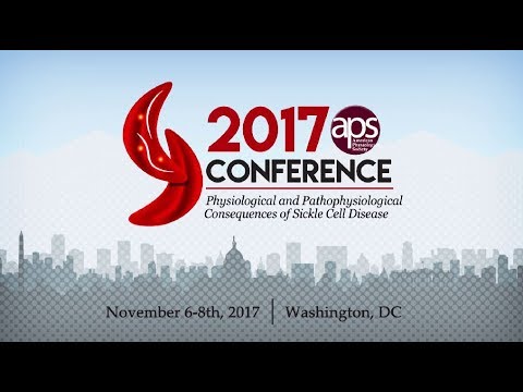 Pathophysiology Insights in Sickle Cell Disease Research