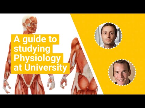 The Journey of Earning a Bachelor’s Degree in Physiology