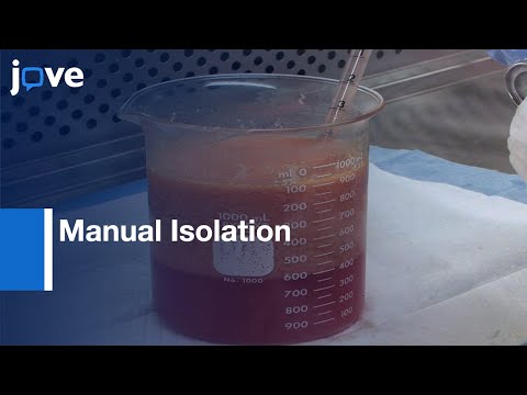 Advancements in Adipose Derived Stem Cell Research