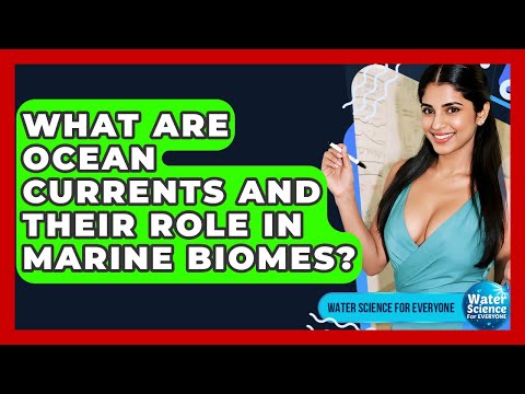 Diverse Types of Ocean Currents and Their Scientific Importance